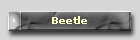 Beetle