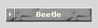 Beetle